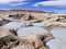 Geysers and fumaroles Sol de Manana at sunrise, Bolivia