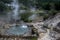 Geysers in Furnas valley, Sao Miguel island, Azores, Portugal