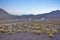 Geysers in the morning on altiplano in Bolivia