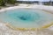 Geysers in Yellowstone