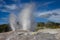 Geysir in Te Puia park in Rotorua, North Island