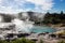 Geysir in Te Puia park in Rotorua, North Island