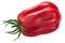 Gezante Buhrer-Keel heirloom ribbed tomato Solanum lycopersicu m fruit isolated
