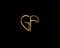 GF initial heart shape Gold colored logo