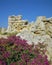 Ggantja Temples GOZO - Maltese Islands