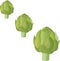 Ggreen fresh eco-friendly artichoke. Vector Illustration.