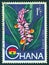 GHANA - CIRCA 1959: A stamp printed in Ghana shows a Shell Ginger flower, circa 1959.