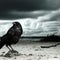 Ghastly grim and ancient raven wandering from the Nightly shore