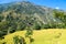 Ghermu - Lush green rice paddies in Himalayas