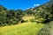 Ghermu - Lush green rice paddies in Himalayas