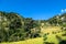 Ghermu - Lush green rice paddies in Himalayas