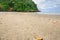 Ghost crab or sand crab burrows on the beach