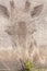 Ghost of a giraffe rock painting art
