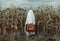 Ghost in glasses with suitcase on corn field