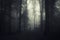 Ghost on Halloween in mysterious dark forest with fog