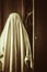 Ghost near creepy wardrobe with spiderweb inside
