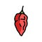 ghost pepper color icon vector illustration