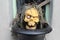 Ghost puppet head`s in pot.