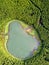 Ghost shaped drone landscape. Top down aerial view of a small pond in the middle of a forest, reflecting clouds in the sky. Bird v