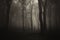 Ghost silhouette in dark mysterious forest with fog on Halloween