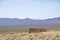 Ghost town, Nevada desert