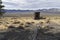 Ghost town outhouse in Berlin, Nevada