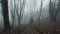 A ghostly blurred hooded figure. Standing in a forest on a spooky foggy winters day