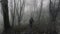 A ghostly blurred hooded figure. Standing in a forest on a spooky winters day. With a vintage grunge edit