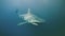 A ghostly yet mesmerizing image of blue shark in the sea generative AI