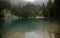 Ghostly mountain forest. Tranquil landscape of glacial lake with pointed fir tree tops, Lake Louise, Banff, Canada