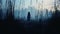 Ghostly Woman Walking Through Dark Woods: A Haunting Landscape