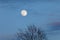 A ghostly wooden silhouette on the moon`s background.