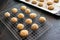 Ghreyba Coconut Moroccan Cookies Cooling on a Wire Rack