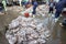 An Giang, Vietnam - Dec 6, 2016: Caught fishes with workers working at Tac Cau fishing port at dawn, Me Kong delta province of Kie