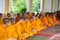 An Giang, Vietnam - Dec 6, 2016: Young monks in temple at ordination ceremony that change the Vietnamese young men to be adult