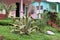 Giant agave plant in front of a house in Vinales