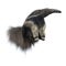 Giant Anteater