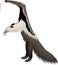 Giant Anteater Cartoon Vector Illustration
