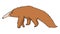 Giant Anteater vector illustration