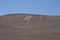 Giant of the Atacama