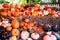 Giant autumn pumpkins at Thanksgiving Day