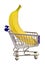 Giant Banana In Tiny Shopping Cart