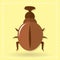 giant beetle. Vector illustration decorative design