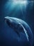 A giant blue whale cruising through the depths of the ocean its graceful movements sending a wake of bubbles behind.. AI