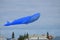 Giant Blue Whale Kite Flying above the Wind on the water Festival