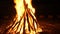 Giant bon fire lit for the festival of Lohri