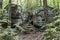 Giant Boulders in a Catskill Mountain Forest