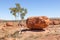 Giant boulders Devils Marbles Australia