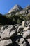 Giant boulders litter the base of granite cliffs, Yosemite National Park.