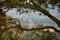 Giant Budha statue seen through tree branch